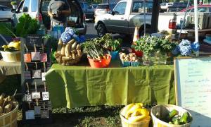 Farmers Market Set up